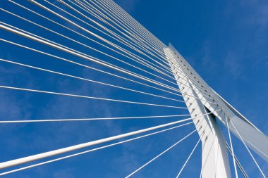 erasmus bridge Rotterdam, net kablo detayını kaldı