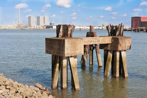 Palen voor een oude jetty in de haven van rotterdam, Nederland — Stockfoto
