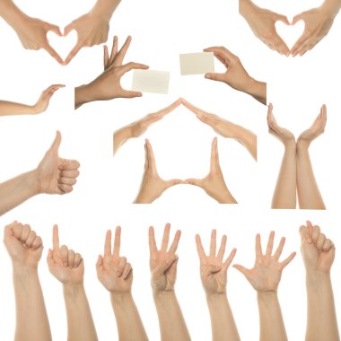 Set of many different hands clipart