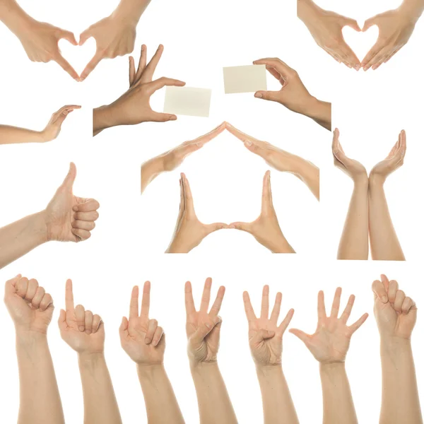 Set of many different hands — Stock Photo, Image
