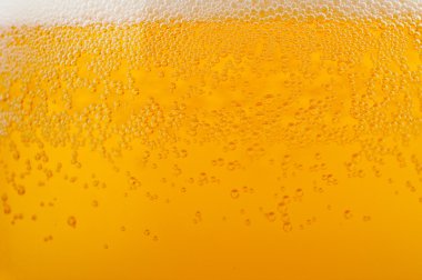 Light beer background clipart