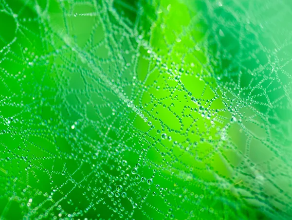 stock image Abstract green background