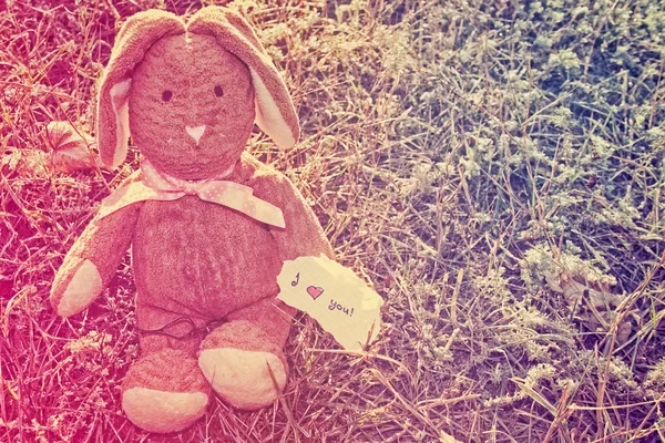 Zachte bunny — Stockfoto