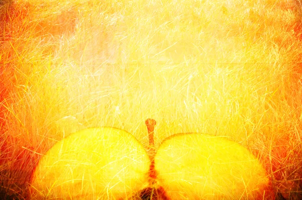 Sanat arka planda sarı elma grunge tarzı — Stok fotoğraf