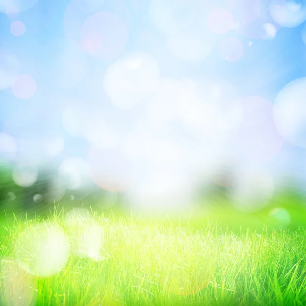 Spring abstract nature background — Stock Photo, Image