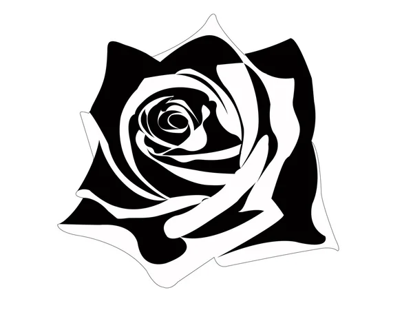 Růže ilustrace — Stock fotografie