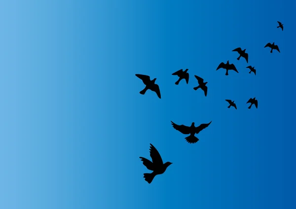 Fåglar på himlen — Stockfoto