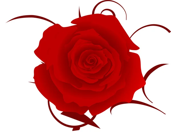 Rose illustration — Stock Photo, Image