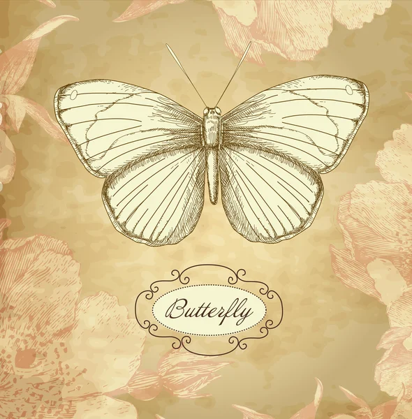 有蝴蝶的古董卡 — 图库矢量图片