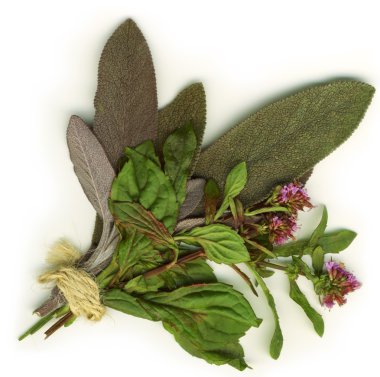 Healing herbs clipart