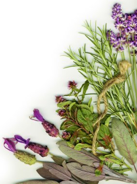 Healing herbs clipart