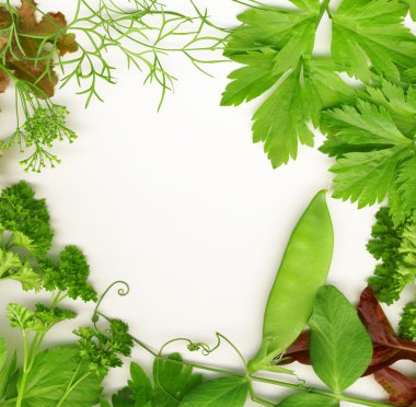 Fresh herbs clipart