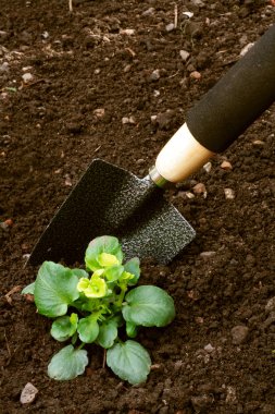 Spring Gardening clipart