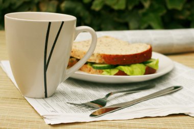 gezonde lunch in de tuin