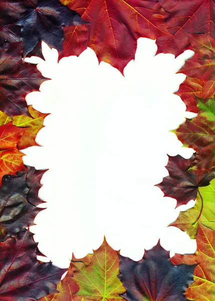 Jesienne liście — Zdjęcie stockowe