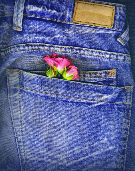 Un par de rosas metidas en un bolsillo de mezclilla. Imagen conceptual para el amor — Foto de Stock