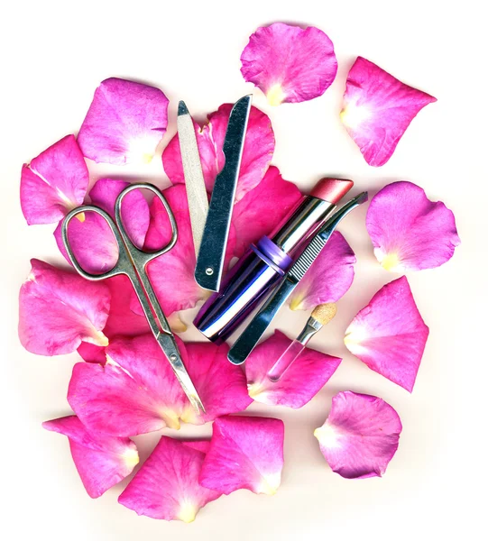 Pennello trucco e cosmetici con petali posa — Foto Stock