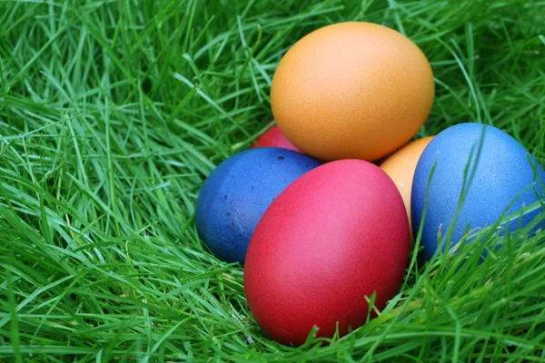 Easter eggs hidden in the grass — Stock Photo, Image