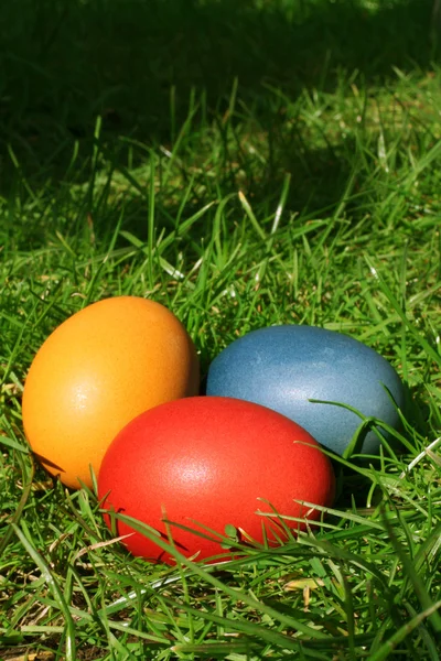 Huevos de Pascua escondidos en la hierba — Foto de Stock