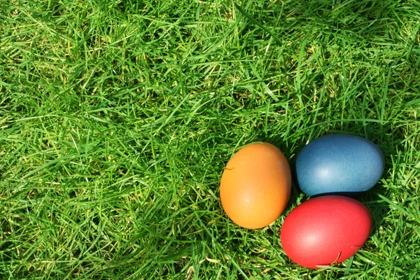 Ovos de Páscoa escondidos na grama — Fotografia de Stock
