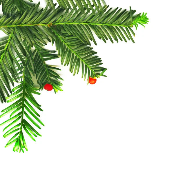 Tradiční vánoční dekorace — Stock fotografie