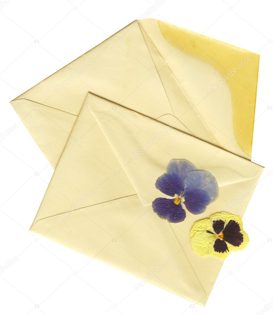 Vintage envelopes and dry flowers with clipping path