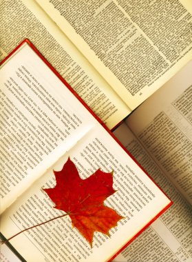 Background made from opened books and maple leaves clipart