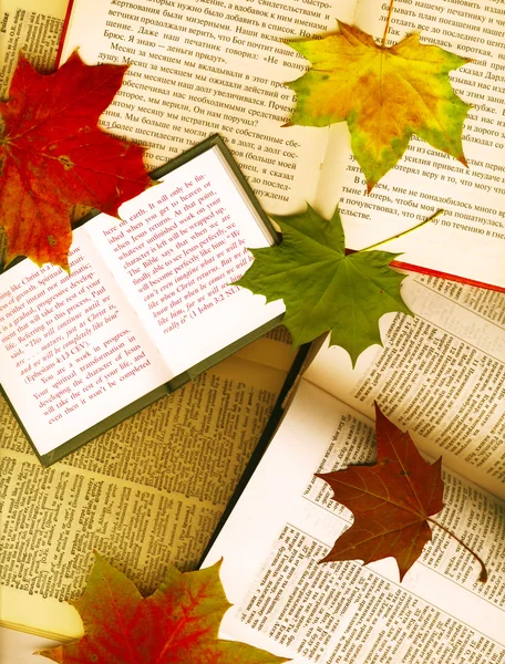 Fond composé de livres ouverts et de feuilles d'érable — Photo