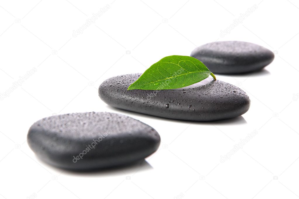 Zen basalt or hot stones with green leaf