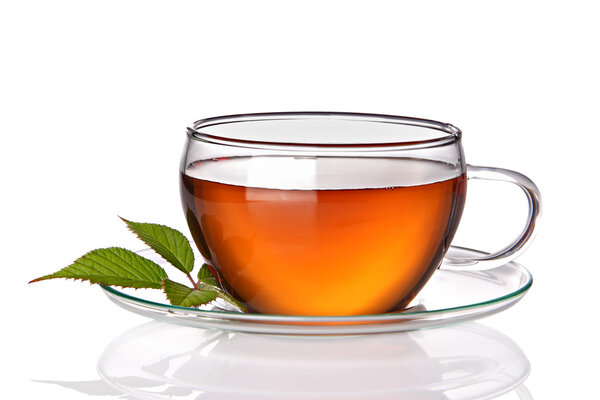 Tea cup with herbal leaves