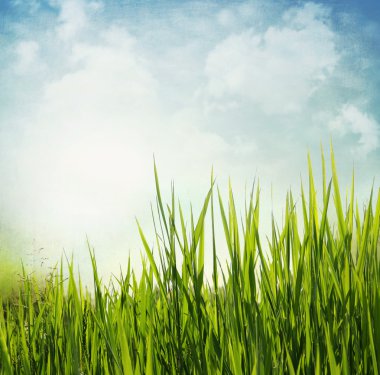 Vintage textured nature background with grass clipart