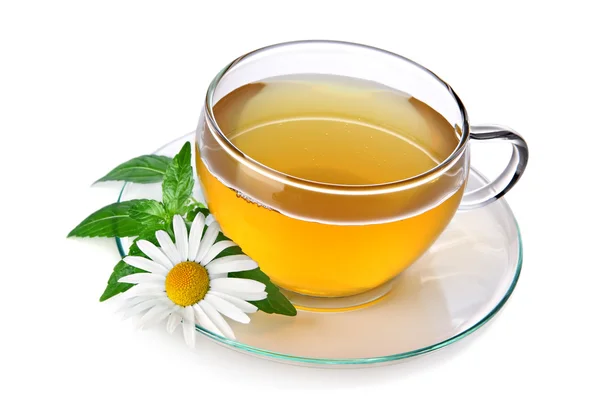 Xícara de chá de ervas com camomila — Fotografia de Stock