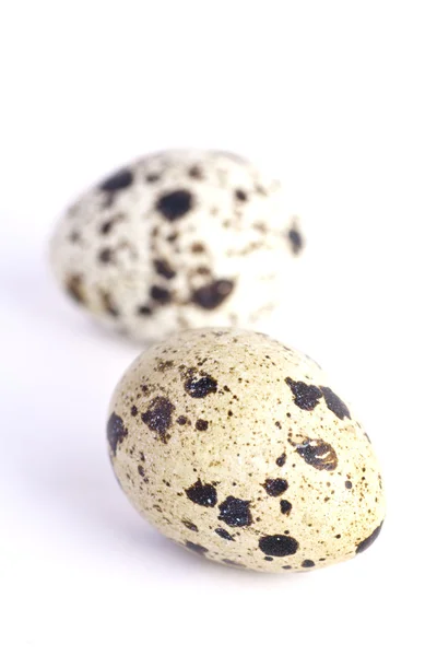Quail eggs on white — Stock Photo, Image