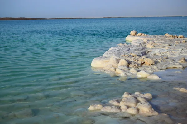 Stock image Dead Sea