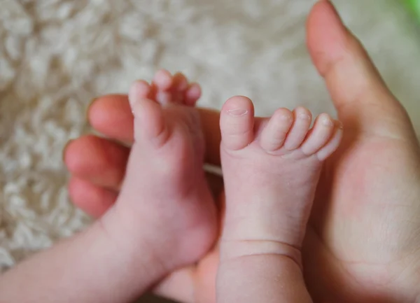 Fötter av nyfödda barn — Stockfoto