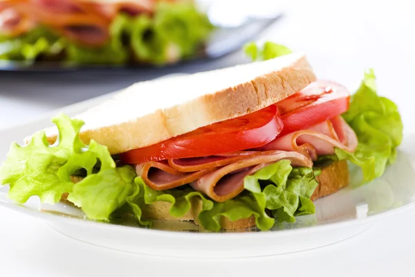 Sanduíche fresca — Fotografia de Stock