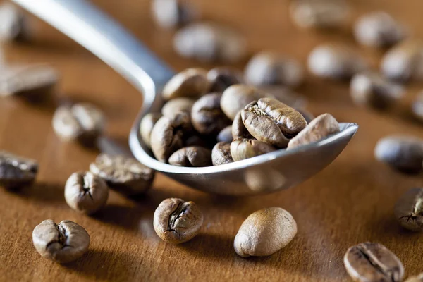 Spoon of Coffee Beans — Stock Photo, Image