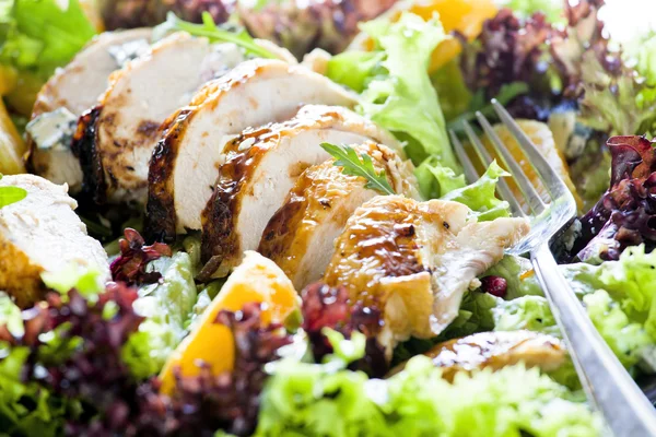 stock image Chicken Salad Up Close