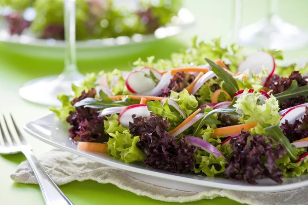 Salada vermelha e verde — Fotografia de Stock