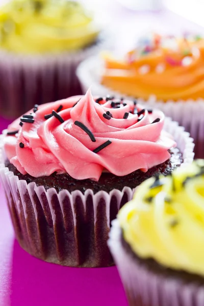 Cupcakes Stock Image
