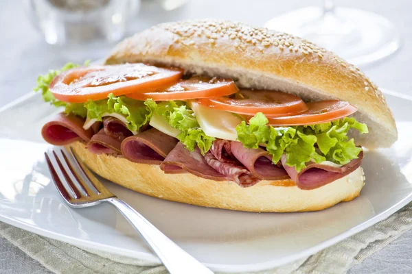 Gastronomische sandwich — Stockfoto