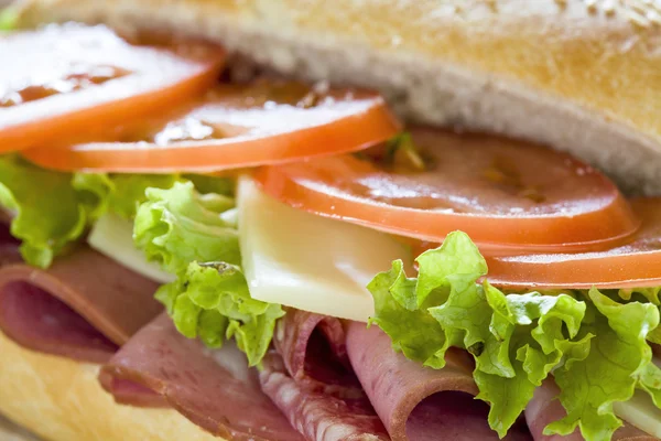 Stock image Sandwich Close Up