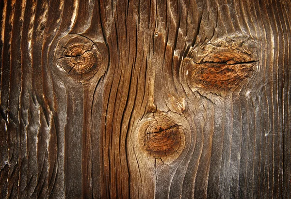 Close-up timber texture Stock Image