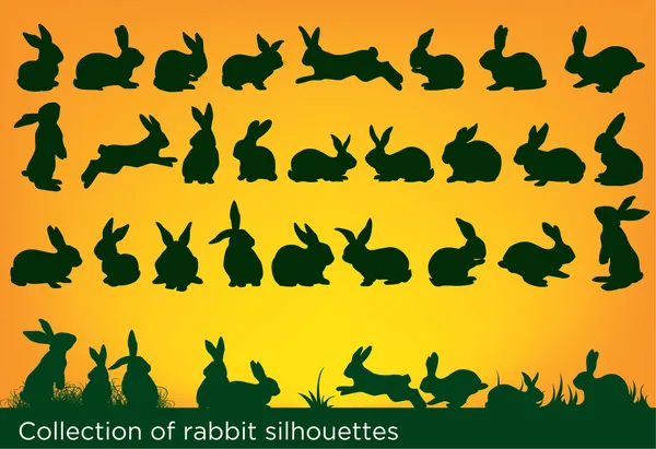 Кролик, силуети — стоковий вектор