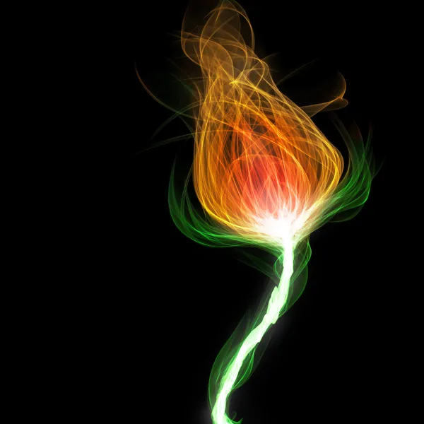 Ateş çiçeği — Stok fotoğraf