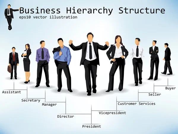 Business Hierarchy Structure — Stock Vector