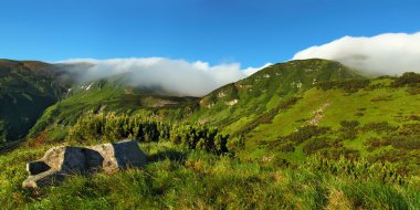 Karpatlar Panoraması