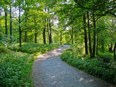 Stockholm Şehir Parkı