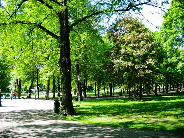 Городской парк в Стокгольме, Швеция — стоковое фото