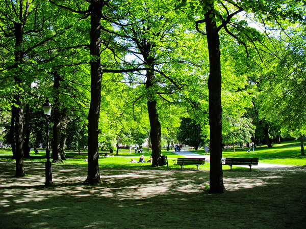 Green area and nation park in Stockholm